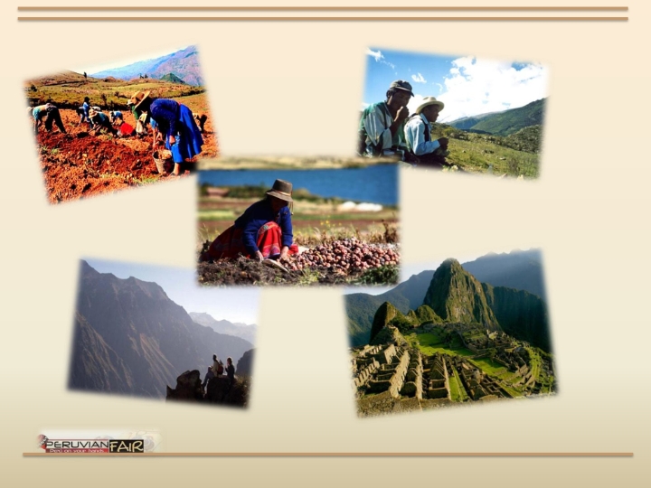 Peruvian Fair Catalogue_022